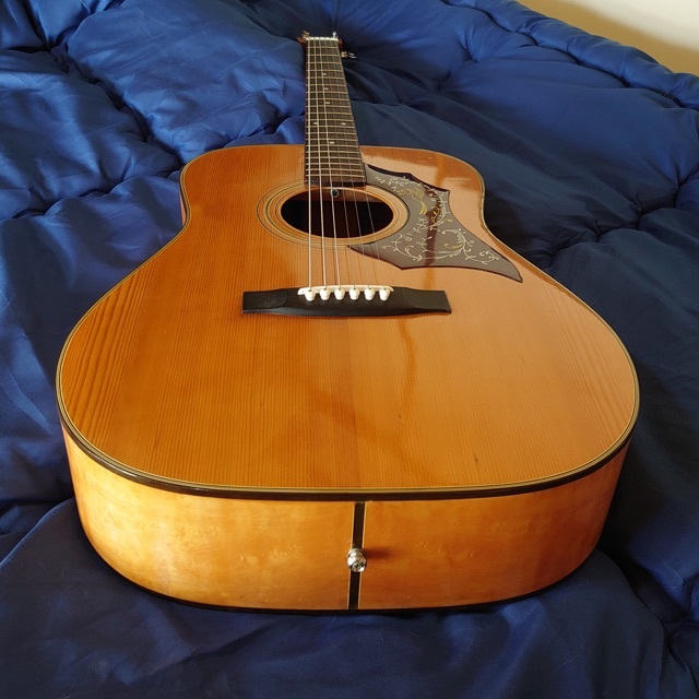 大幅値下げ☆70s国産 全音 Zen-on RF-150 ビィンテージギターの通販 by