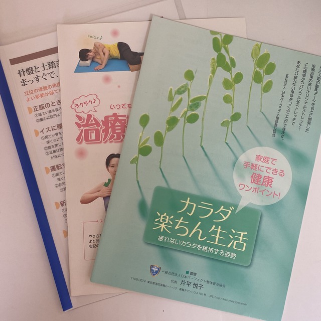 片平悦子 片平悦子 | STORES パーフェクト整体DVD17枚セット 片平悦子