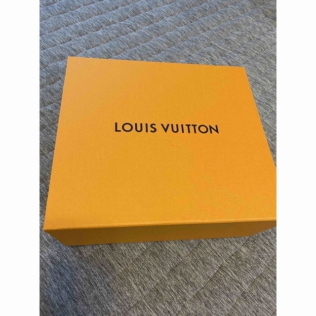 LOUIS VUITTON - ほみくん様 専用 ルイ ヴィトン 空箱 と紙袋 の通販
