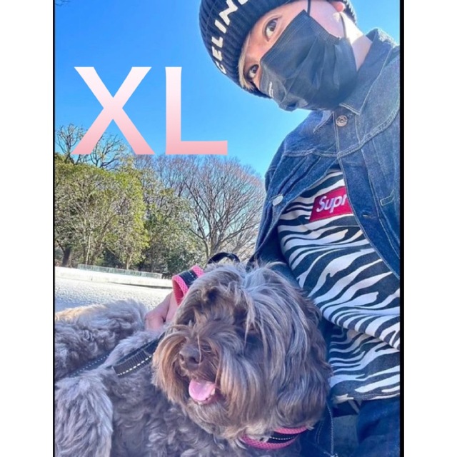 Supreme - 【木村拓哉着用】SUPREME BOX LOGO CREWNECK ZEBRAの通販 by