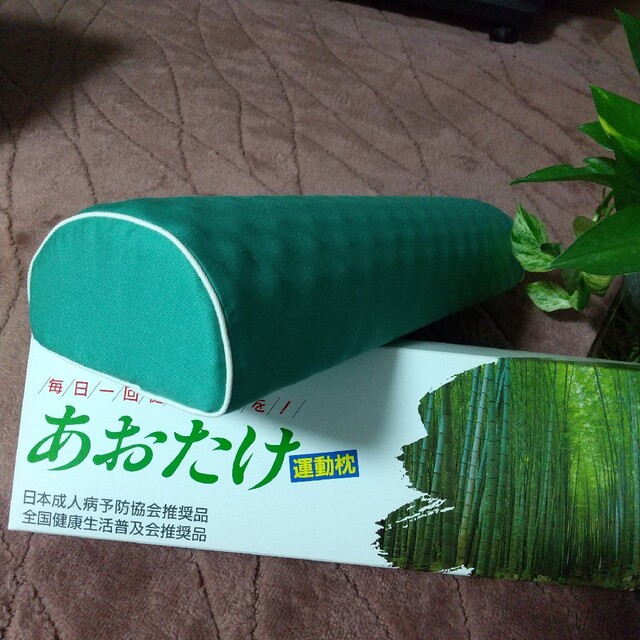 新品 あおたけ 運動枕 (株)日本直販の通販 by だいこ's shop｜ラクマ