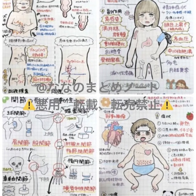 解剖生理+重要項目+頻出疾患まとめノート 3セットの通販 by 看護師応援