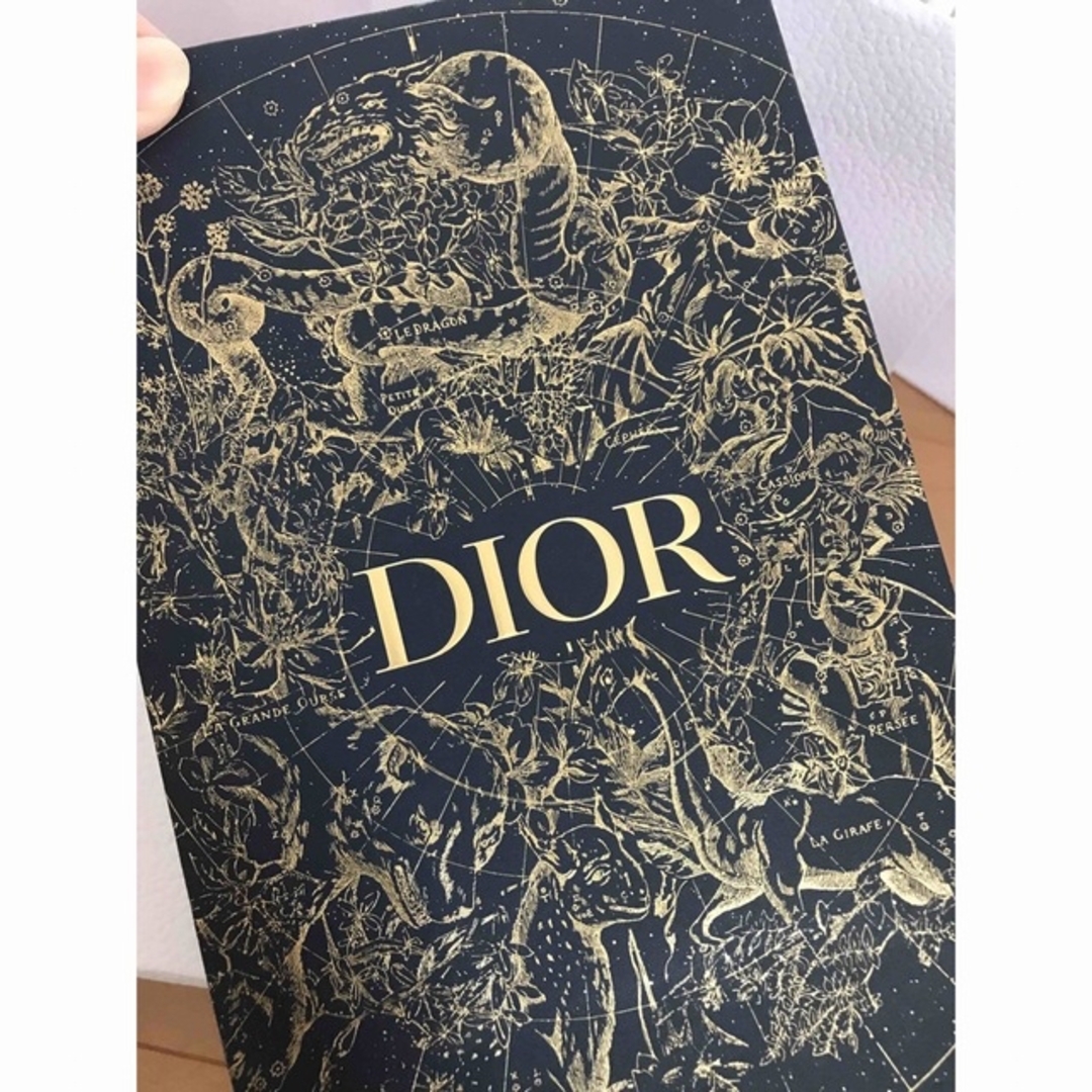 Dior - ディオール ショップ袋セット7枚入の通販 by T.0092's shop