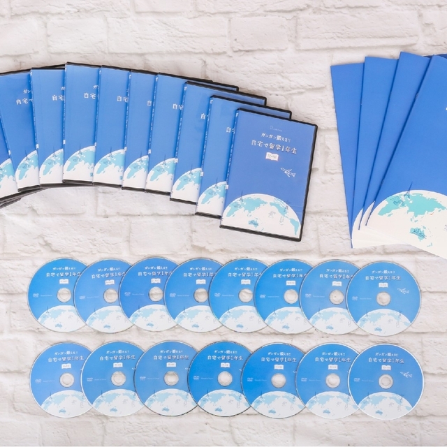 留学レベルの英会話力養成DVD 週1レッスン×1年間分 （メールサポート1