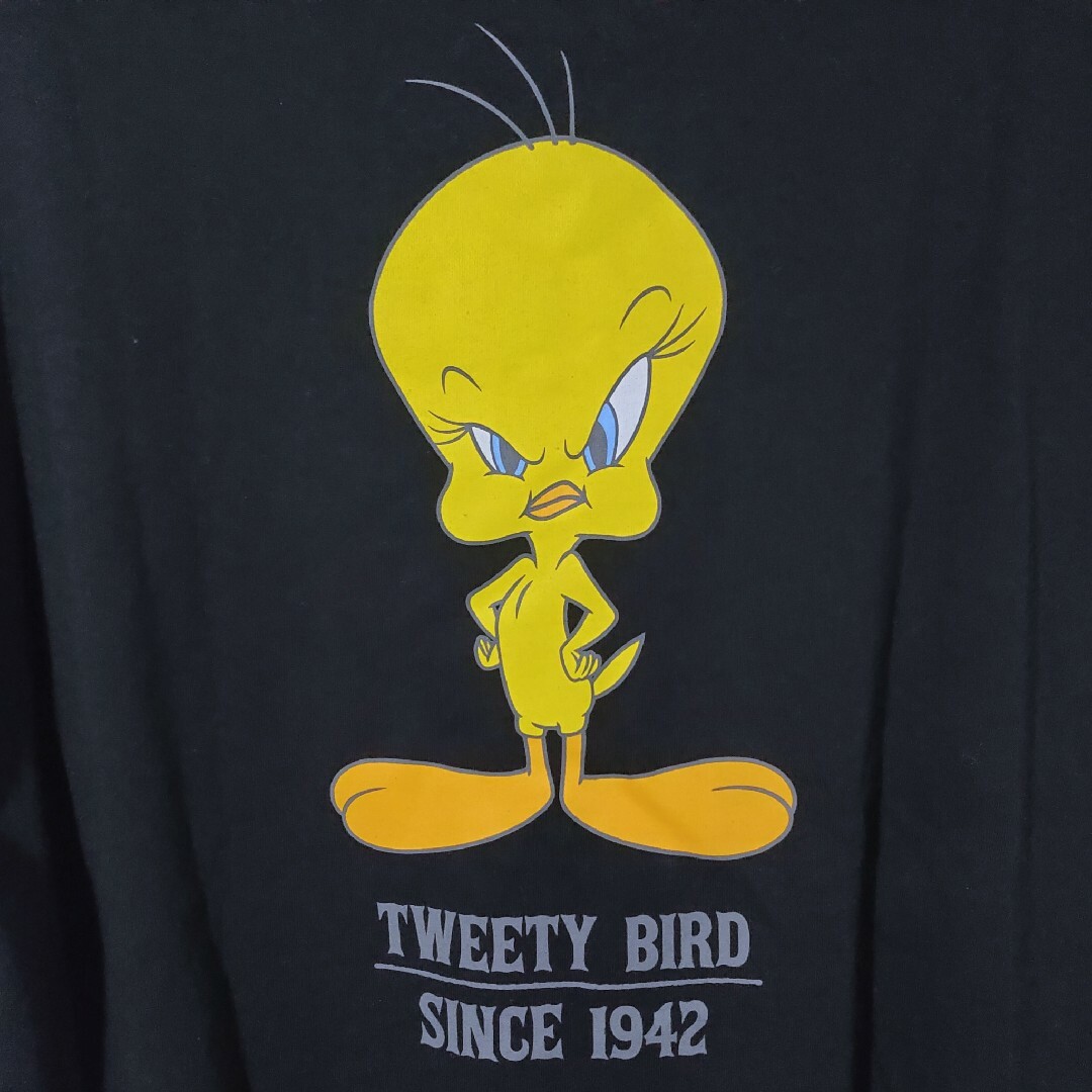 新品 Tシャツ L トゥイーティー ルーニーテューンズ ビッグサイズ 刺繍