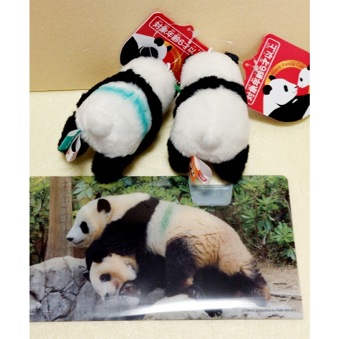 新品 上野動物園 ジャイアントパンダ シャオシャオ & レイレイ