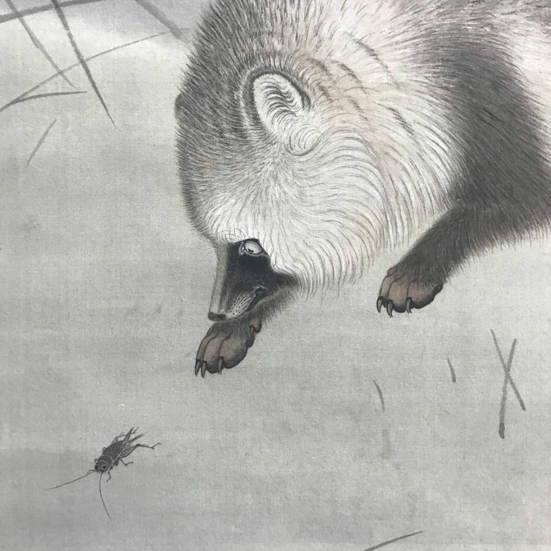 真作】晴雲/月下狸図/タヌキ図/コオロギ図/花鳥図/掛軸☆宝船☆AC-670