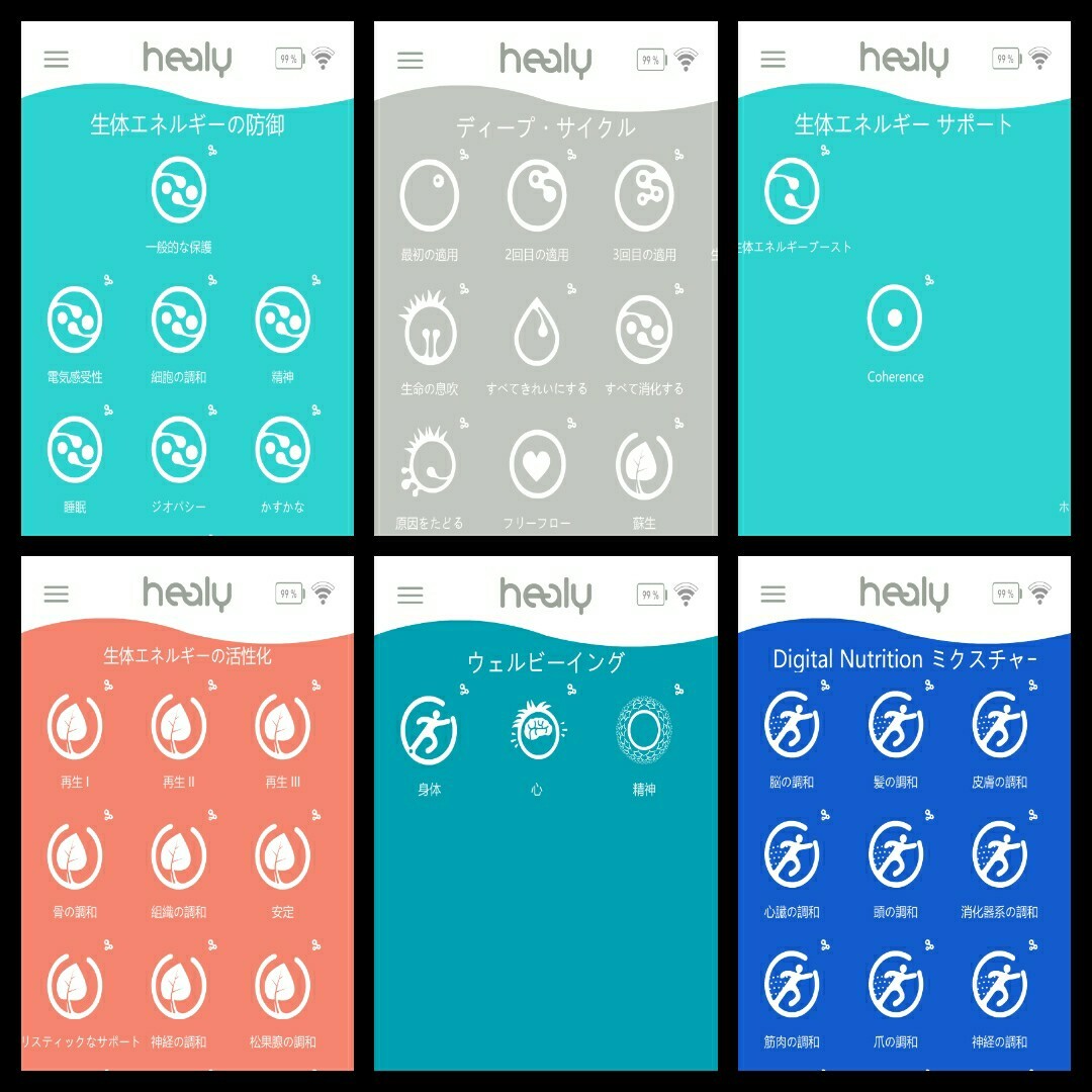 ヒーリー Healy レゾナンス 月々の支払い無し プロフェッショナルと