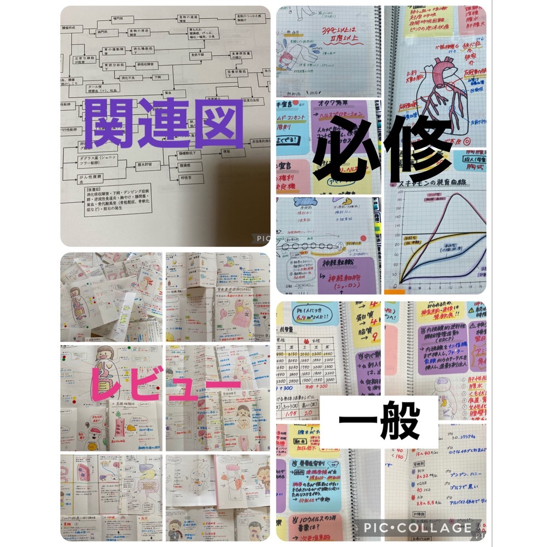 看護師国家試験対策【4点セット！】これで合格！お得セット！看護学生