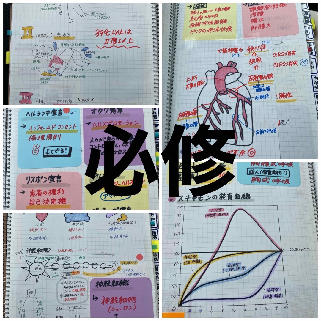 看護師国家試験対策【4点セット！】これで合格！お得セット！看護学生