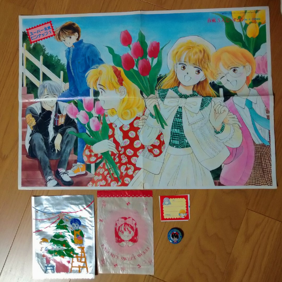 集英社 - 星の瞳のシルエット 柊あおい りぼん付録 全プレ缶バッジ