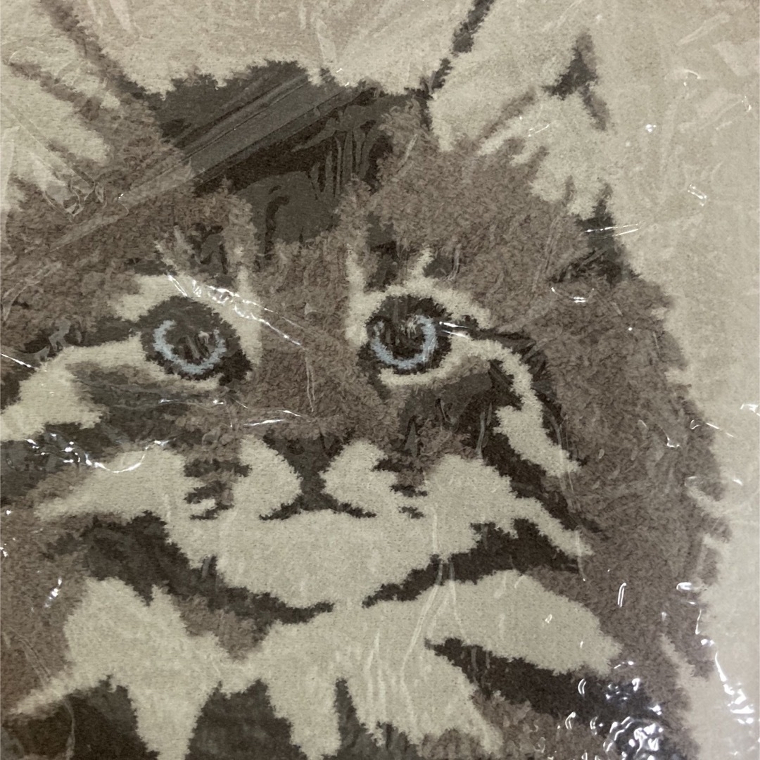 gelato pique - ジェラート ピケ ツインキャット ジャガード