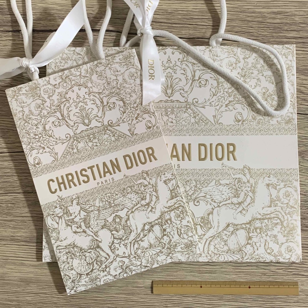 Dior - 【DIORディオール】2023ホリデー限定ショッパー（ショップ袋）2