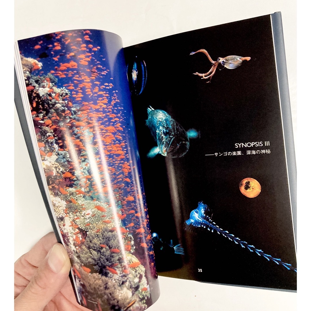 ディープ・ブルー スペシャル・エディション('03英/独)〈2枚組