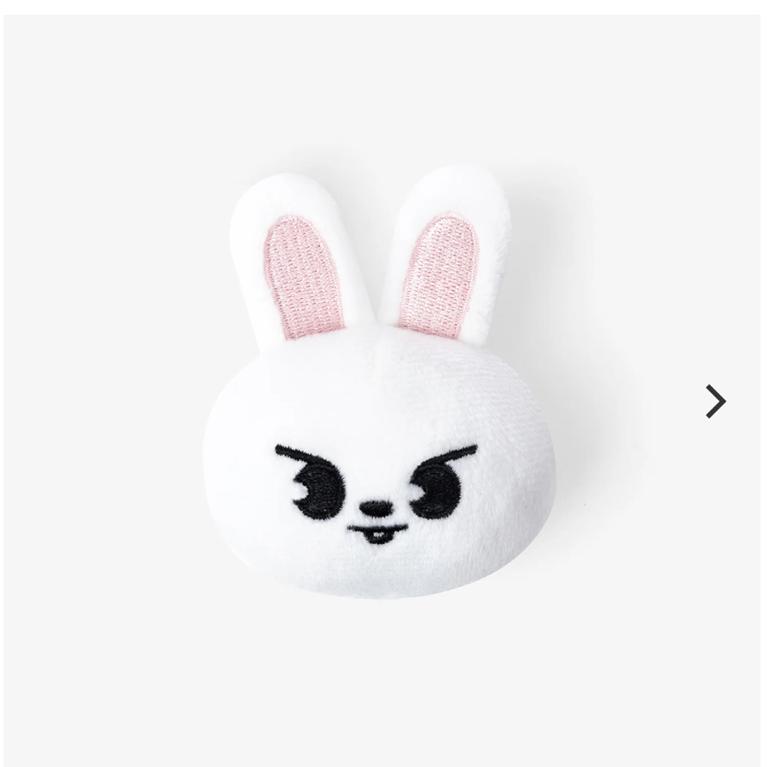 Stray Kids - スキズ リノ SKZOO リービット ポップアップ 3点セットの