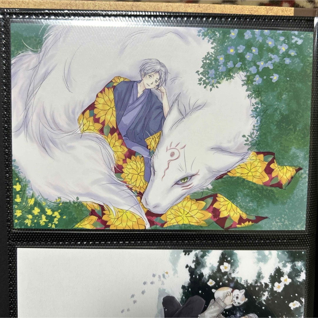 夏目友人帳 原作イラスト ポストカード ブロマイド 斑 夏目貴志