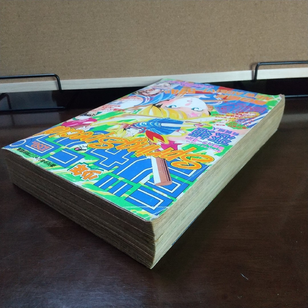 集英社 - 週刊少年ジャンプ特別編集 SpringSpecial ※冨樫義博 上北双子