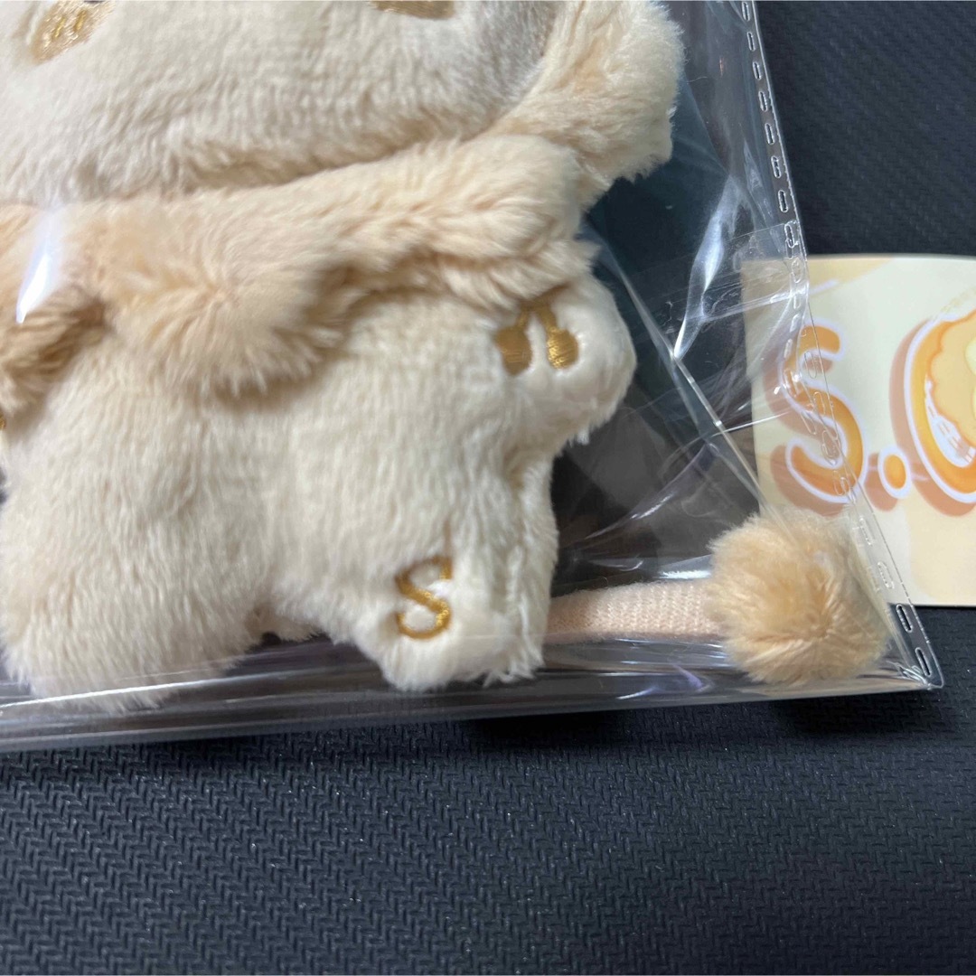 エスクプス ぬいぐるみ 10cm 新品 マスター セブチ seventeenの通販 by