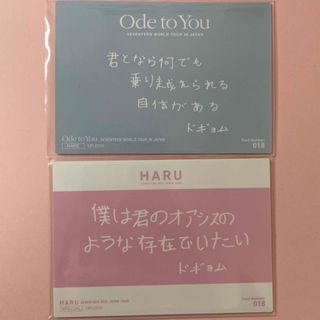 SEVENTEEN - ドギョム 日本語 トレカ haru ode to youの通販 by 큐큐's