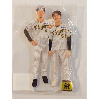 2202166161.jpg?1710114183