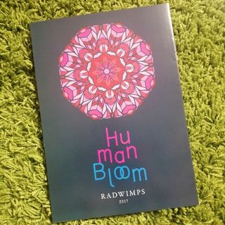 RADWIMPS 2017 LIVE ライブ 冊子 グッズ掲載 情報誌の通販 by くるり's