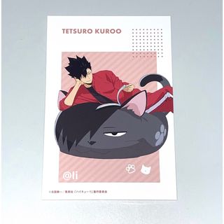 ハイキュー!! ショウワノート おみくじ ブロッキーとカードセット 黒尾