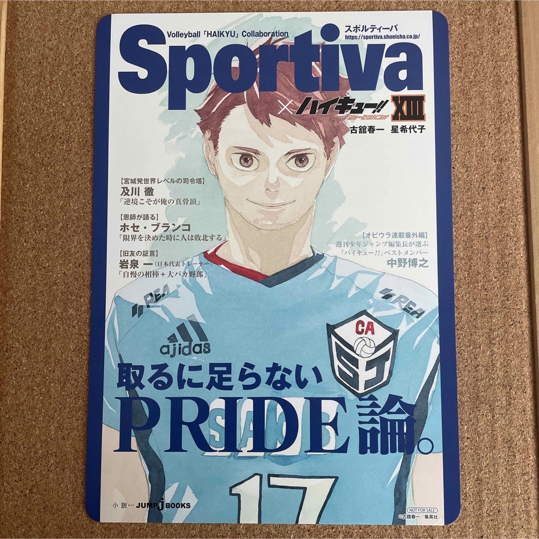 ハイキュー!! 及川徹 B5ビジュアルボード ショーセツバン アニメイト