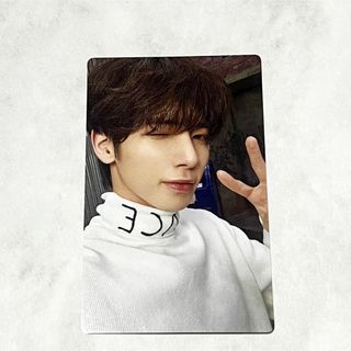 2318144412.jpg?1720808975