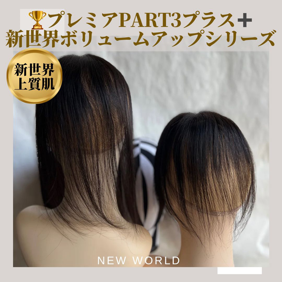 真2025新世界レミー100% ウィッグ ヘアピース シルクスキン 部分