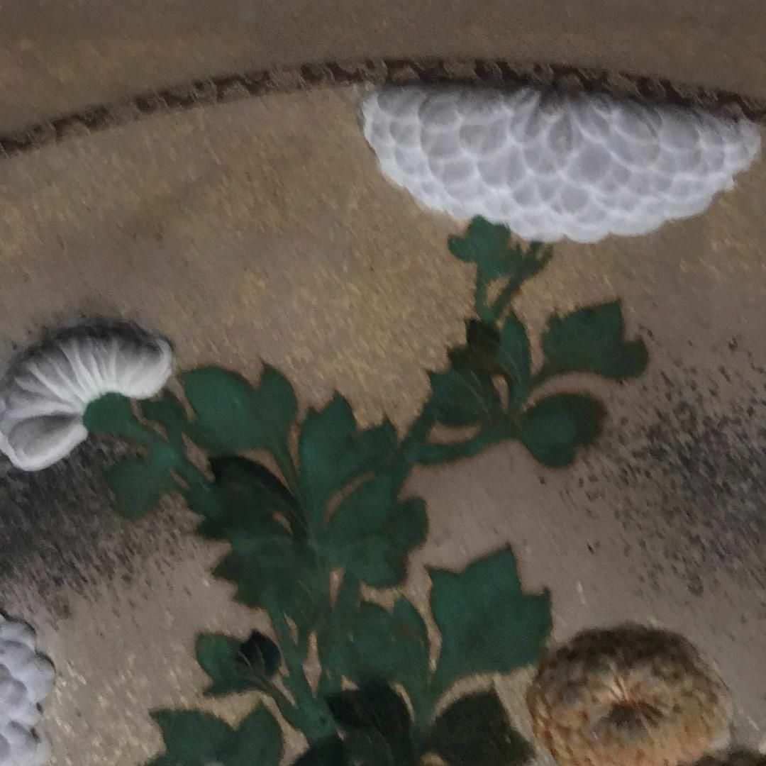 尾形光琳/菊花之図/扇面菊図/日本画/額/掛軸/掛軸/名家伝来/Y-838の