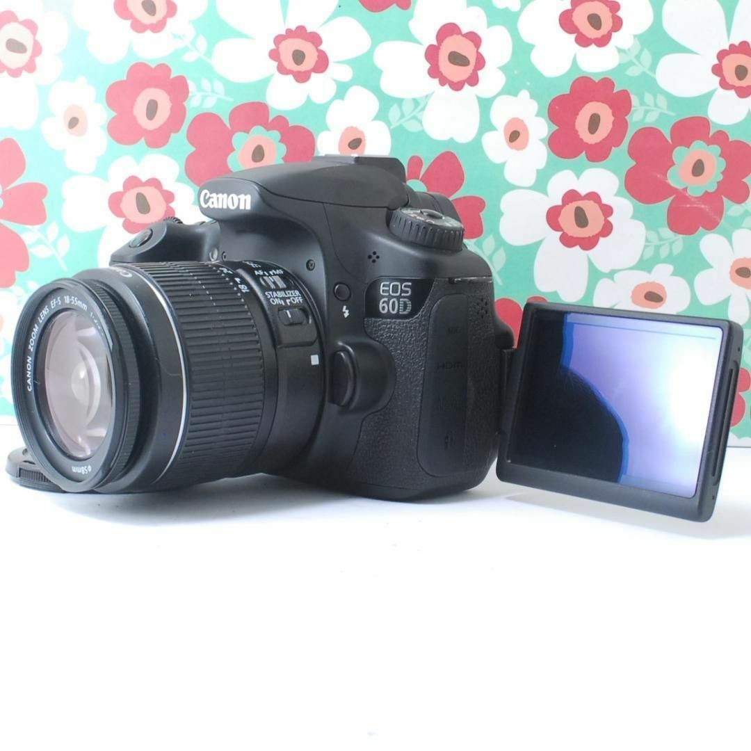 ショット数わずか521回✨Canon EOS 60D✨ダブルレンズセット