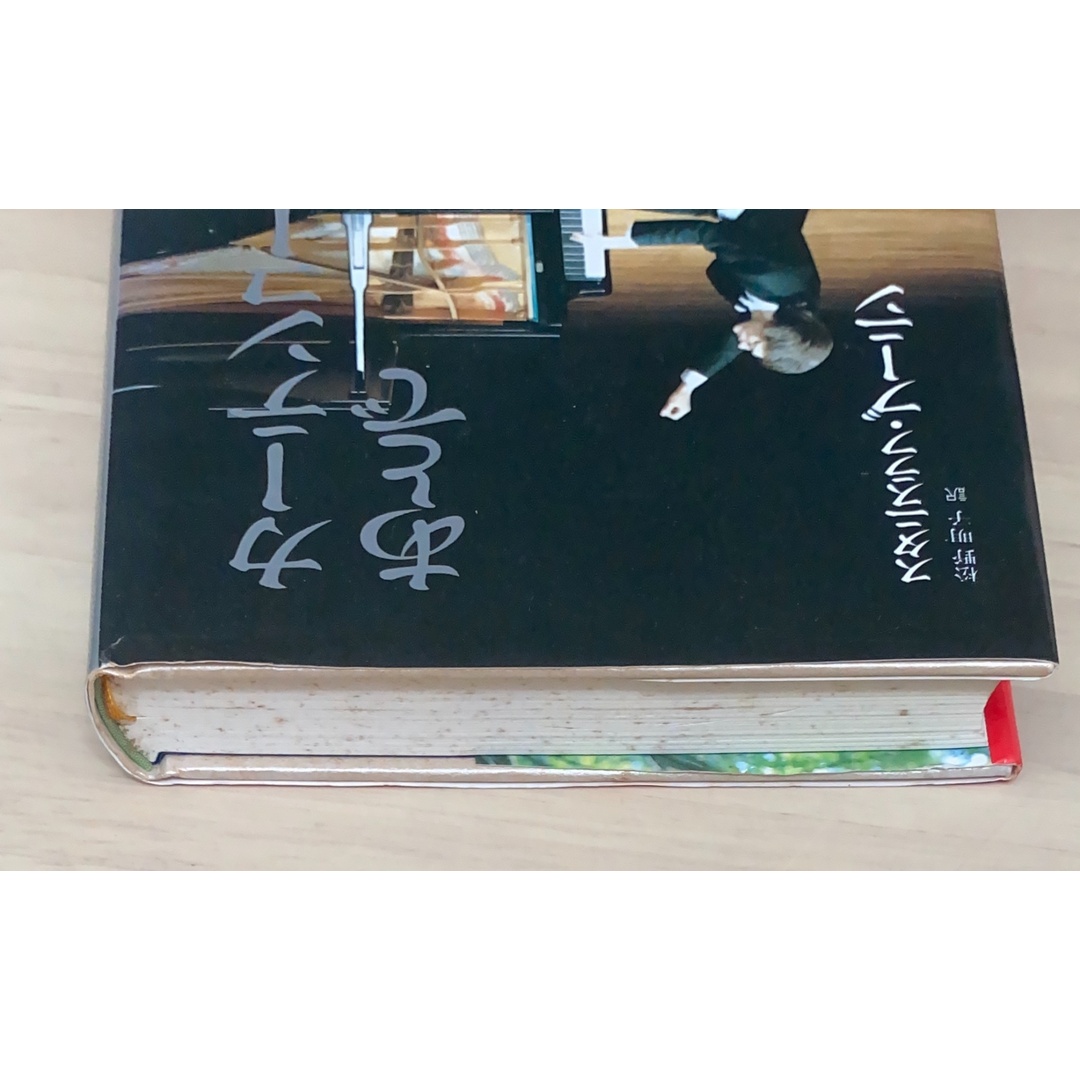 中古］カーテンコールのあとで スタニスラフ・ブーニン 松野明子訳