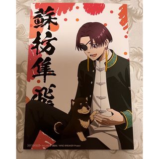 2362944740.jpg?1725336473