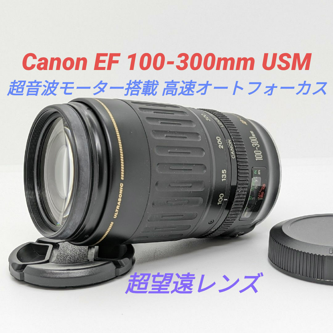 遠くの風景も人物もOK✨Canon EF 100-300 超望遠レンズ キヤノン