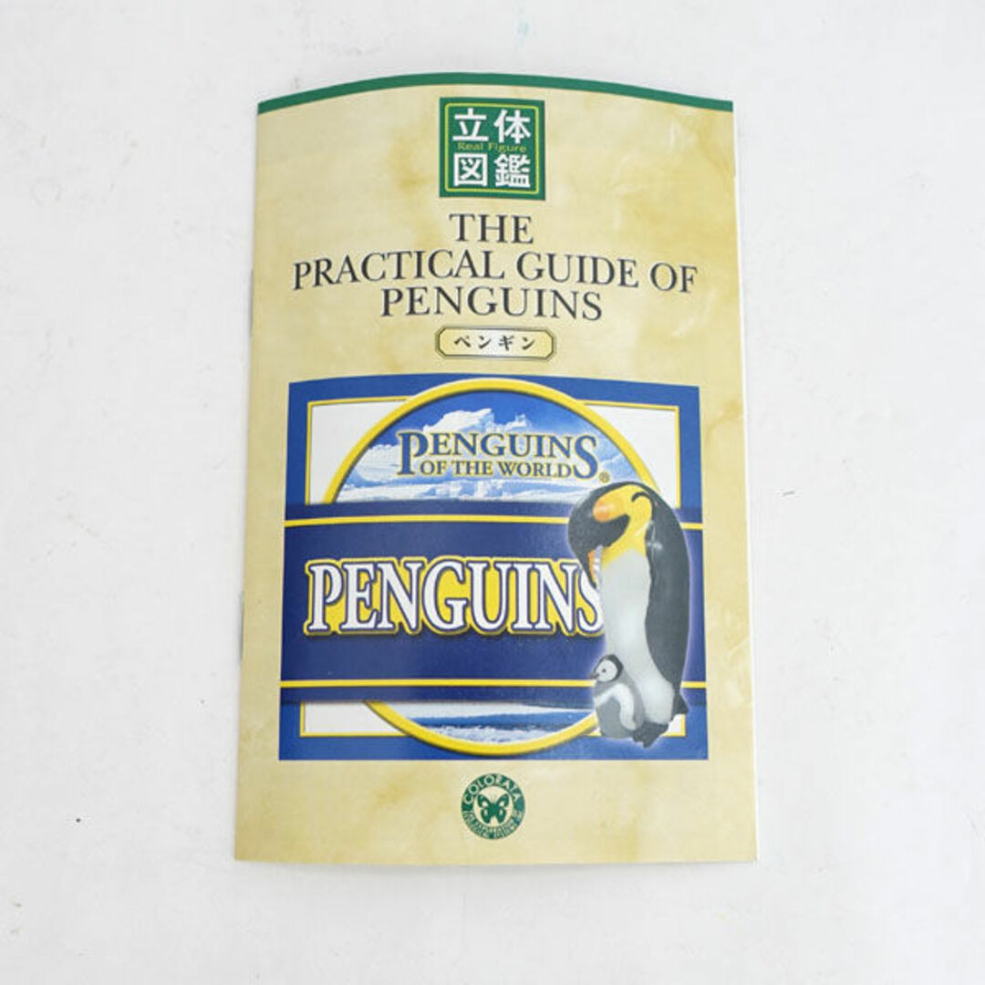 COLORATA / カロラータ ◇立体図鑑 ペンギンボックス 13体 子供用品
