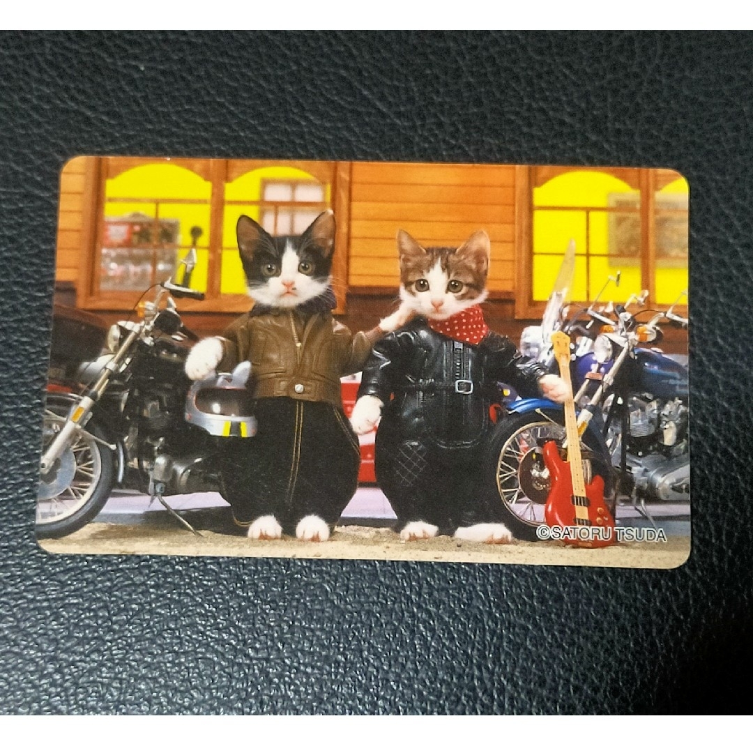 平成レトロ なめ猫免許証3枚セットの通販 by tomi's shop｜ラクマ