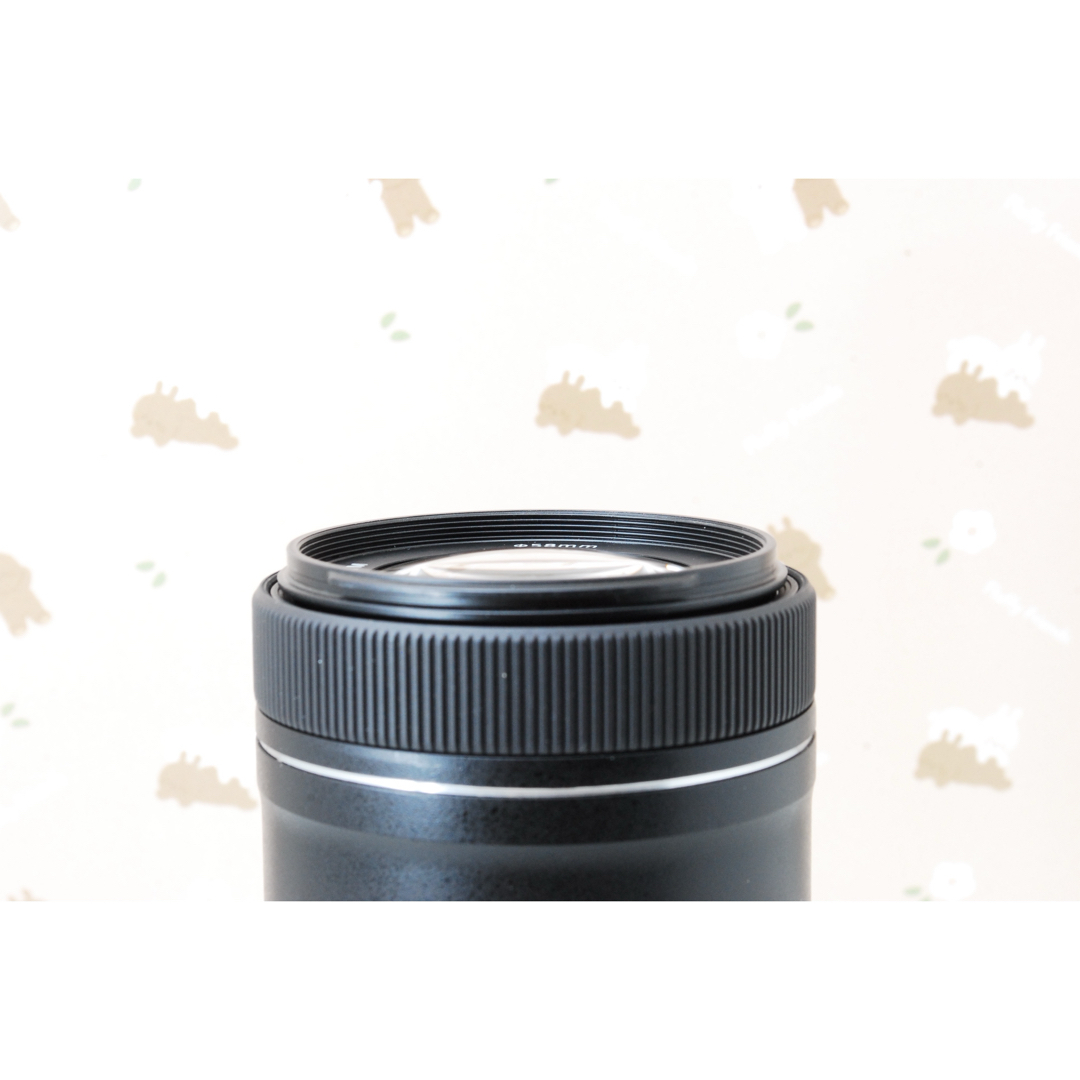 遠くまで綺麗❤️望遠レンズ❤️Canon EF-S 55-250mm IS STM✨ 【公式