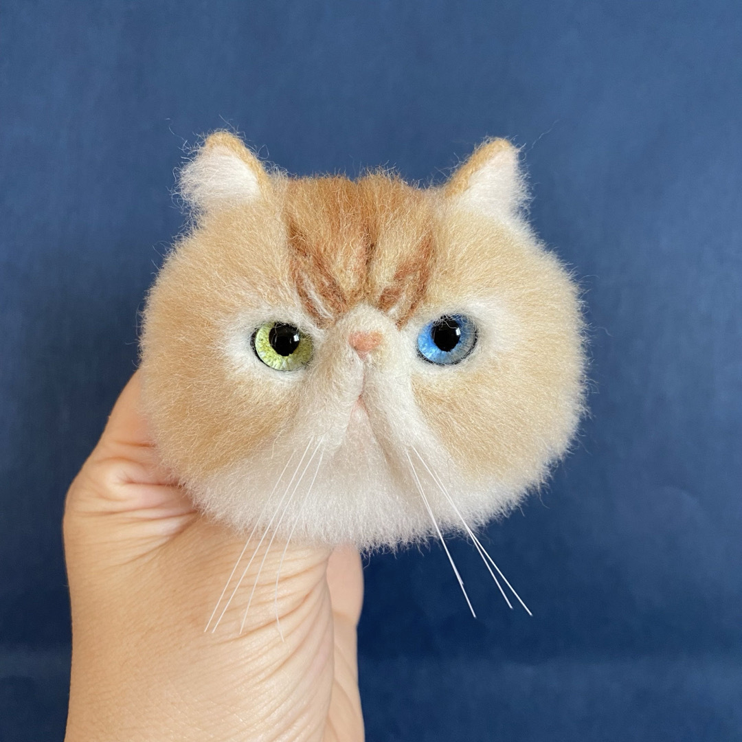 見本】羊毛フェルト リアル可愛いエキゾチックショートヘア オッドアイ