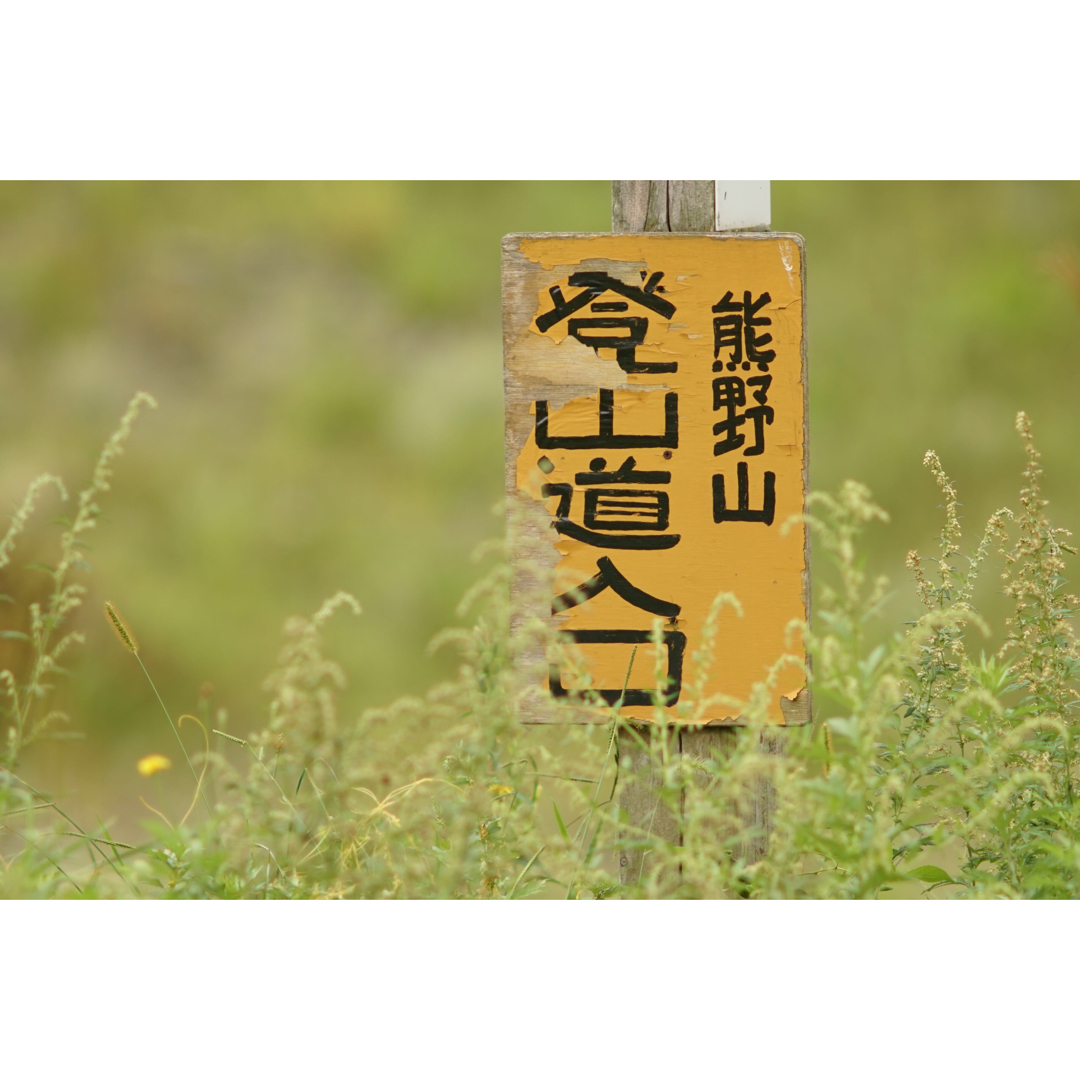 PENTAX - 作例付き PENTAX smc PENTAX67 300mmF4 管mprの通販 by けん