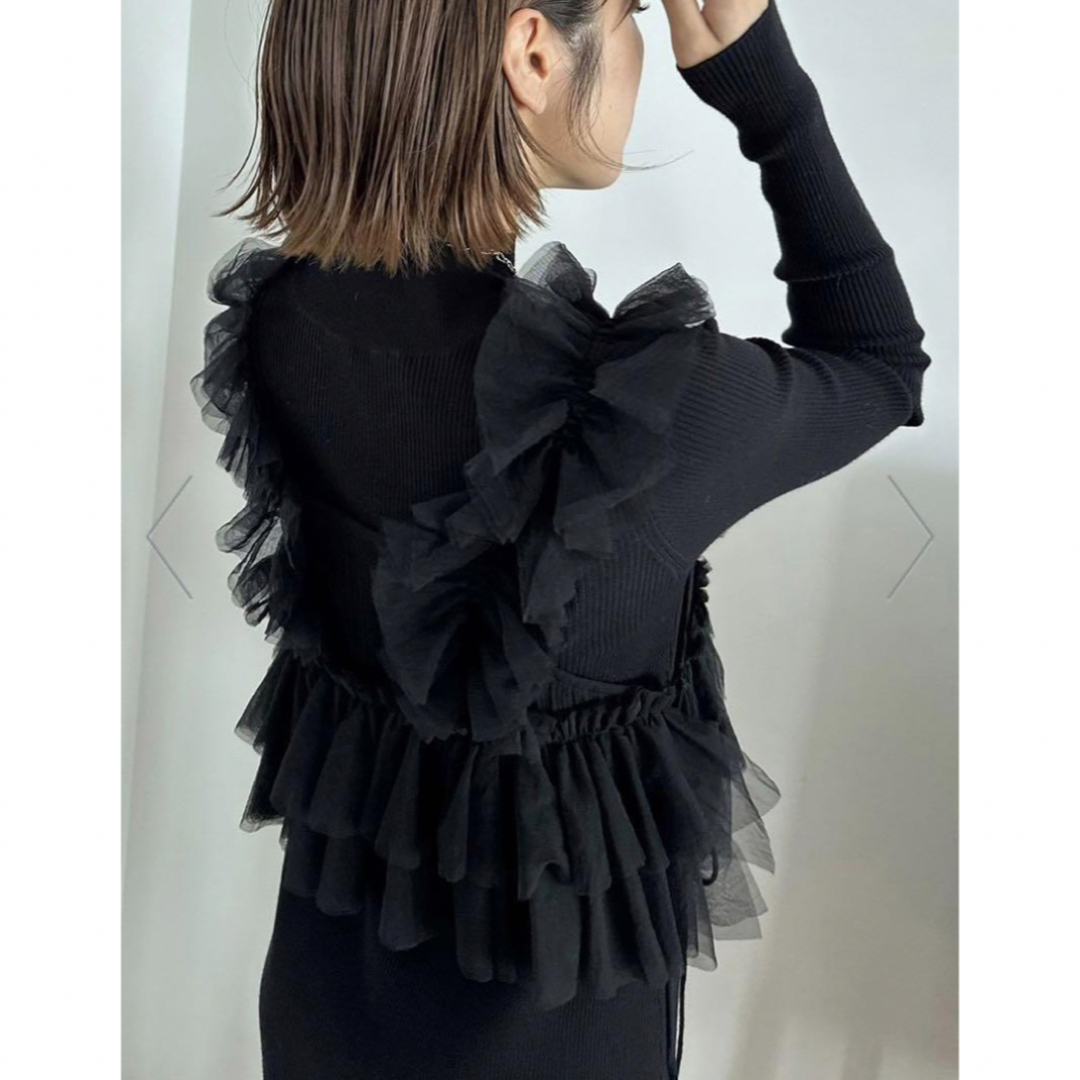 Lily Brown - リリーブラウン 【WEB限定カラー】フリルビスチェセット