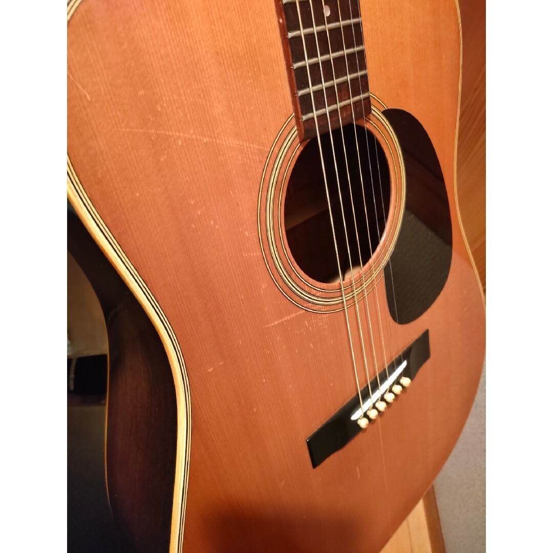 MORRIS - 1975年 モーリスW-20（エレアコ）の通販 by anan's shop