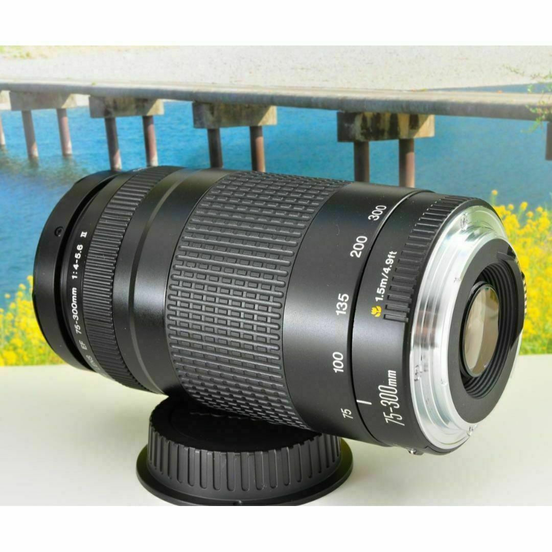 Canon純正 75-300mm 望遠レンズ 美品 a5037 Canon純正 75-300mm 望遠