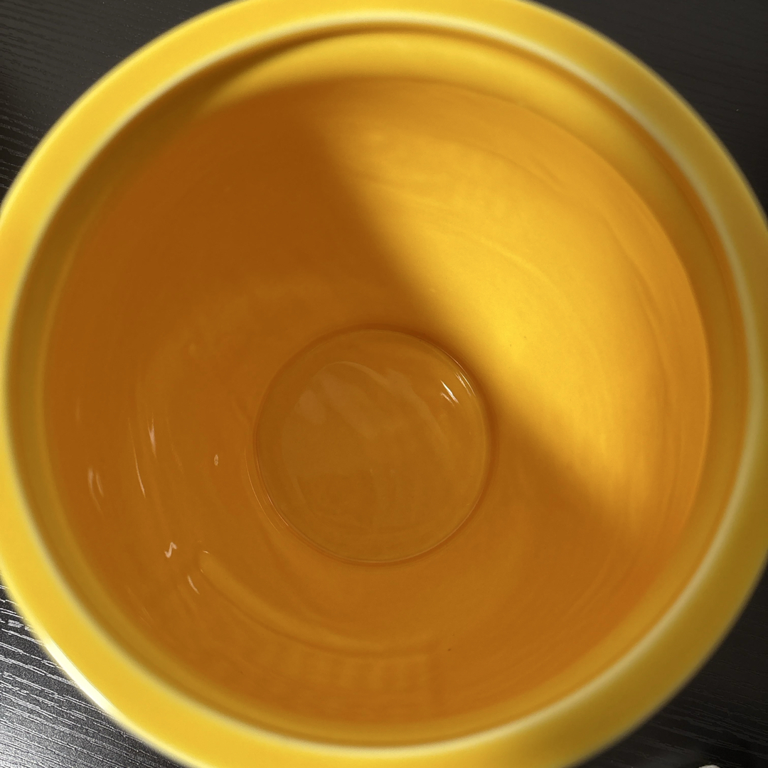 レオナルド様専用】ポルノグラフィティ ぬか漬けキット(壺のみ)の通販