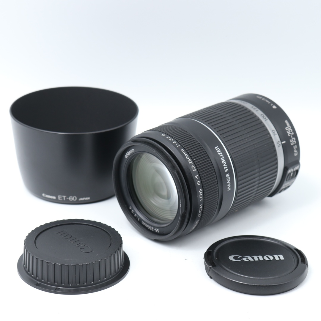 Pippoシリーズ3冊】Tom and Pippo Read a Story コレクション