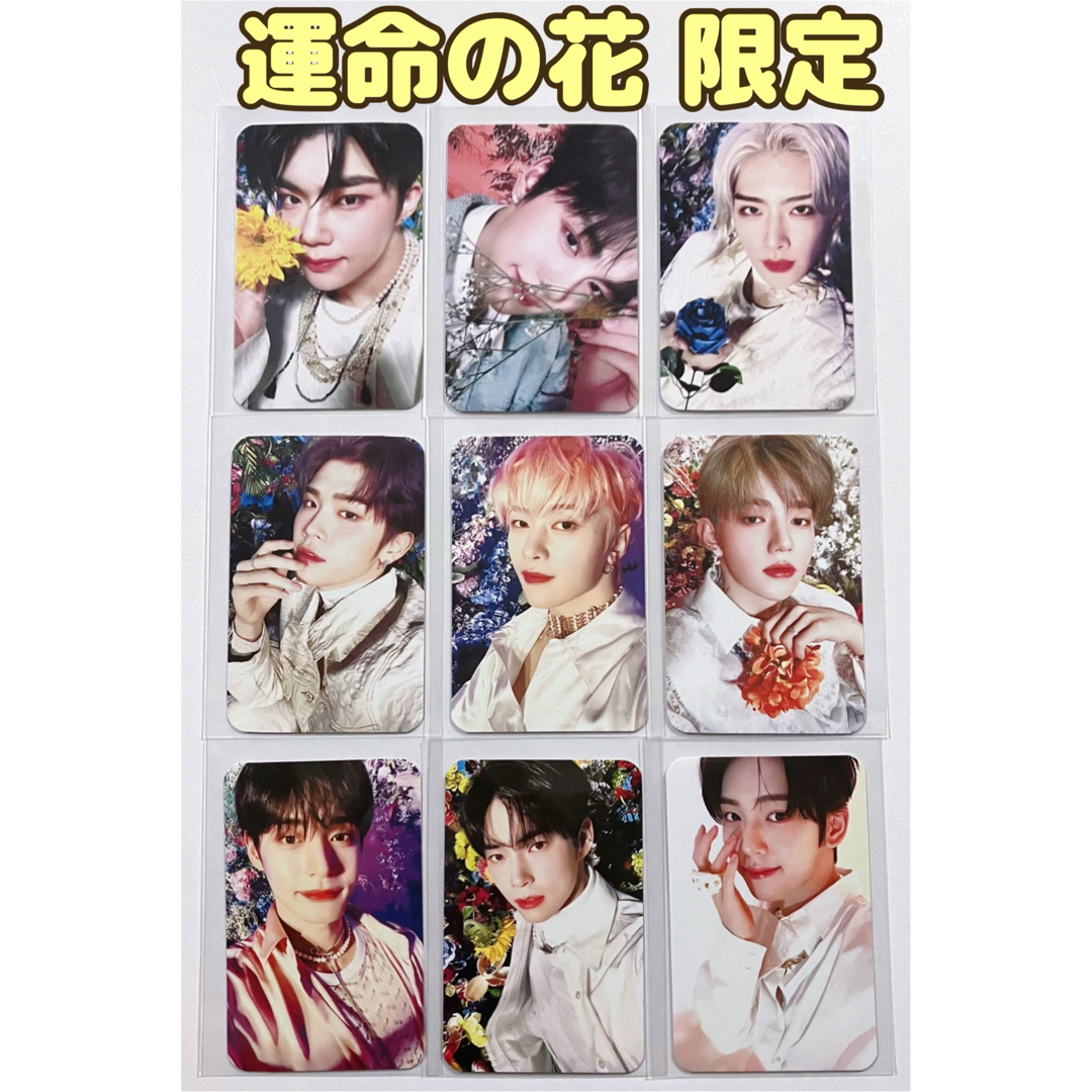 SHINee サイン 直筆 トレカ シーグリ レア セット SHINee サイン 直筆