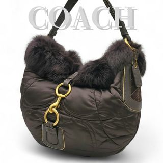 COACH（ファー ・ ショルダーバッグ）のフリマアイテム一覧