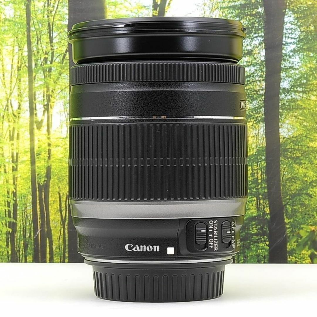 近くから遠くまでこれ1本☆Canon EF-S 18-200mm ISレンズ☆