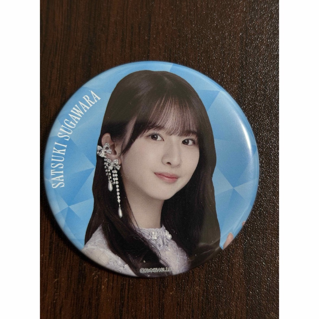 乃木坂46 真夏の全国ツアー2023 菅原咲月全身アクリルキーホルダー30個