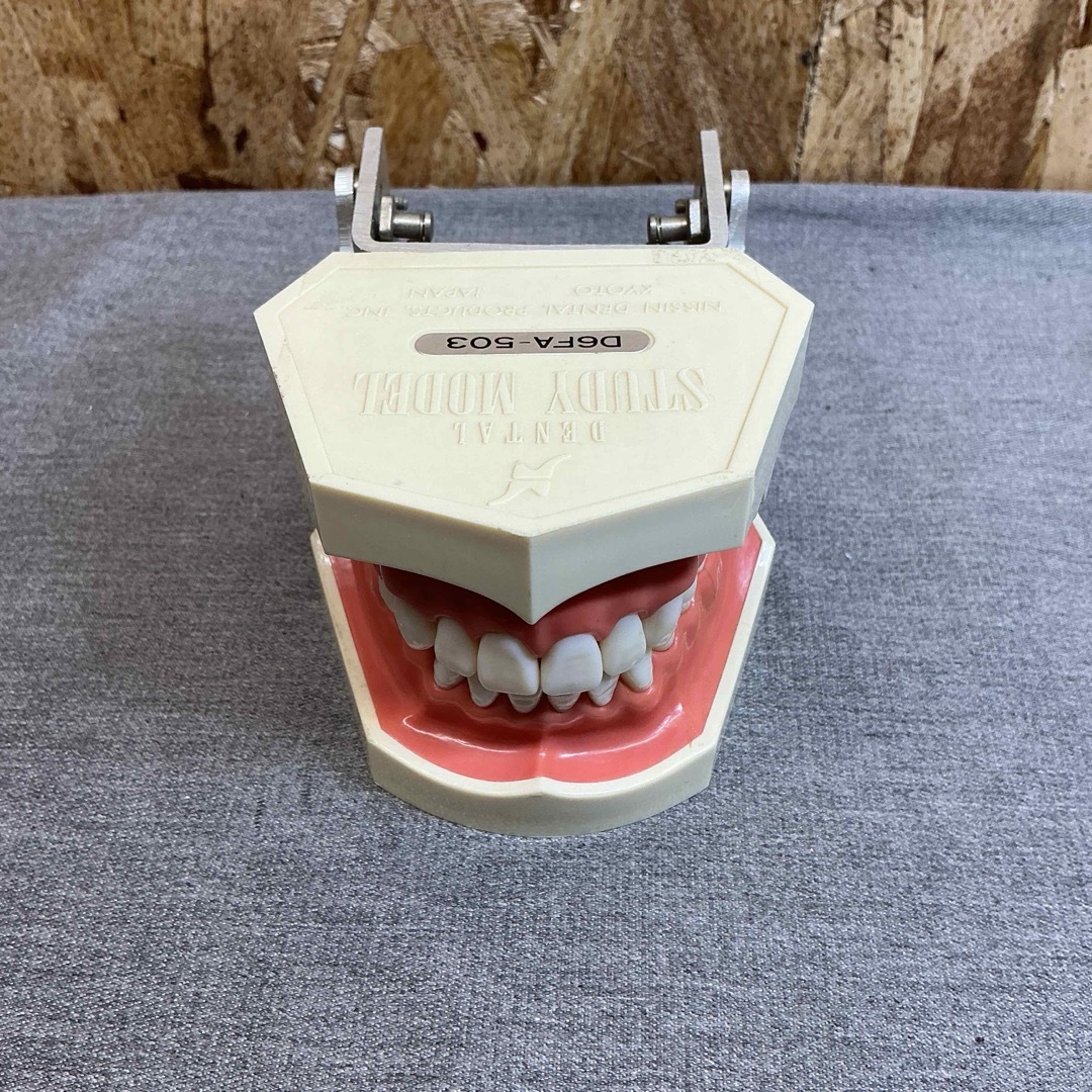 nissin ニッシン 歯 模型 デンタル 創業75周年記念特設サイト｜株式