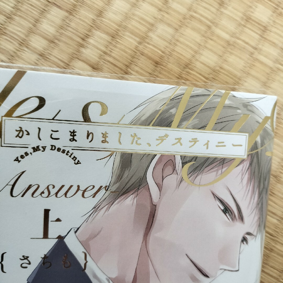 かしこまりました、デスティニー 全巻セットの通販 by peach's shop